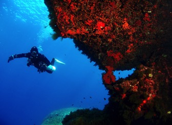 Изображение мальтийского пейзажа